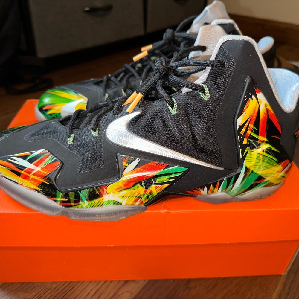 Lebron 11 Everglades.